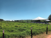 IDR-Paraná destaca avanços tecnológicos na Fiman 2025, em Paranavaí