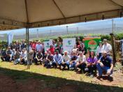 Produtores de uva de Marialva participam da 1ª Jornada Tecnológica em Fruticultura