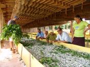 Governador sanciona reestruturação da carreira dos servidores do IDR-Paraná