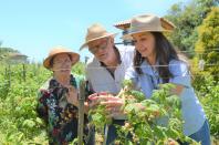 Dia do Extensionista: IDR-Paraná apresenta conquistas e projeta futuro da assistência rural