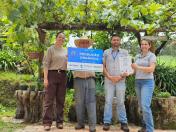 Rio Negro tem o maior erval orgânico da Região Metropolitana de Curitiba