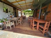 Rio Negro tem o maior erval orgânico da Região Metropolitana de Curitiba