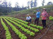 Governador sanciona reestruturação da carreira dos servidores do IDR-Paraná