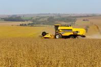 Boletim aponta que safra 2026 ganha volume e Paraná pode colher 25,9 milhões de toneladas