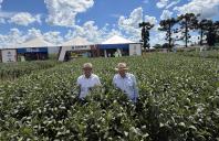 Seab reforça políticas públicas e inovação na abertura do Dia de Campo Lar 2026, em Medianeira