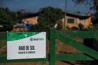  Paraná inicia censo inédito para mapear perfil da agricultura orgânica no Estado 