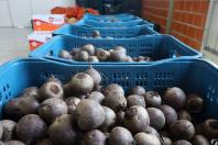 Aparência nem sempre é qualidade: Seab orienta a evitar despercídio de alimentos