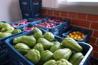 Aparência nem sempre é qualidade: Seab orienta a evitar despercídio de alimentos