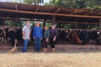 Programa no Paraná fortalece pecuária leiteira e aumenta rentabilidade dos produtores