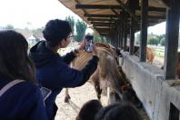 Casa da Agroecologia apresenta resultados e prepara avanços para 2026