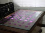 IDR-Paraná realiza exames brucelose e tuberculose em búfalos no Vale da Ribeira