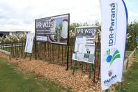 Resistentes e rentáveis: Estado lança cultivares de milho e mandioca no Show Rural