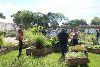 Projeto prevê transformar resíduos orgânicos em composto enriquecido com microrganismos