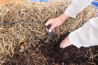 Projeto prevê transformar resíduos orgânicos em composto enriquecido com microrganismos