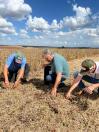 Concurso avalia perdas na colheita de soja, na região de Maringá