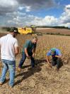 Concurso avalia perdas na colheita de soja, na região de Maringá