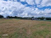 Feijão é tema de dia de campo em Ponta Grossa