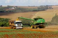  Soja e milho impulsionam produção paranaense com estimativa de 39,1 milhões de toneladas 
