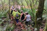 Roncador realiza a 8ª Caminhada na Natureza e reúne grande público