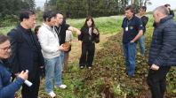 IDR-Paraná recebe missão técnica da República da Coreia para intercâmbio em pesquisa agropecuária