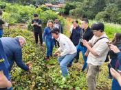 IDR-Paraná recebe missão técnica da República da Coreia para intercâmbio em pesquisa agropecuária