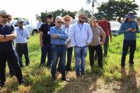 IDR-Paraná promove capacitação estratégica em terraceamento e conservação de solos