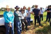 IDR-Paraná promove capacitação estratégica em terraceamento e conservação de solos