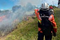 Ação humana é causa frequente de incêndios florestais