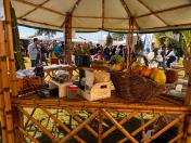 Agroecologia ao alcance de produtores e consumidores