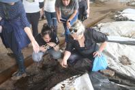 No Dia do Professor, docentes visitam a Estação de Pesquisa em Agroecologia do IDR-Paraná