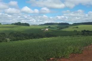 Boletim agrometeorológico do IDR-Paraná de fevereiro mostra trégua no excesso de chuvas do início do ano