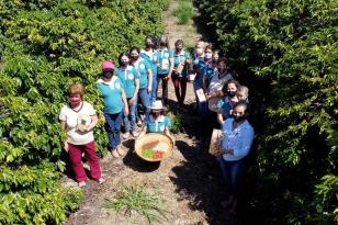 Projeto Mulheres do Café valoriza produtoras e garante fama internacional ao Norte Pioneiro