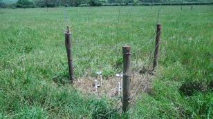 Estudo aprimora critérios para irrigação em solos do Arenito Caiuá