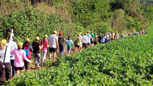 IDR-Paraná prepara retorno das Caminhadas na Natureza