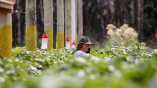 Prêmio Orgulho da Terra cria vitrine para as melhores práticas do agronegócio paranaense