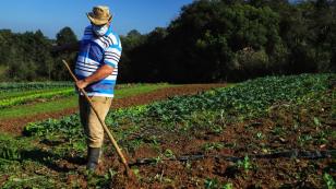 Governo investe R$ 5,94 milhões para apoiar projetos de 1.360 famílias rurais