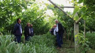 Estação de Pesquisa da Lapa mostra variedades de frutíferas para produtores