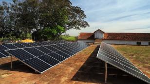 Paraná investe em programas para tornar o setor agropecuário cada vez mais sustentável 