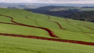 O solo do Paraná é sua força ! Vamos preservá-lo!