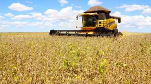 Paraná deve produzir 14,74 milhões de toneladas de grãos na safra de verão