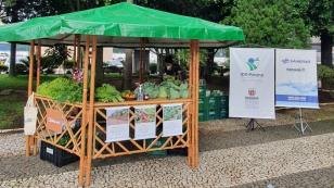 Produtores do Miringuava participam da primeira feirinha de orgânicos