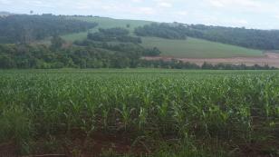 Boletim agrometeorológico do IDR-Paraná de março demonstra elevação nas precipitações de chuva