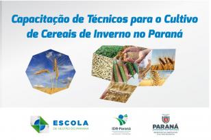 IDR-Paraná promove curso de preparação para o cultivo de cereais de inverno no Paraná