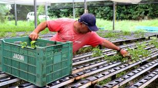 Renda Agricultor Familiar fica em 3º lugar no Prêmio Estratégia ODS 2022