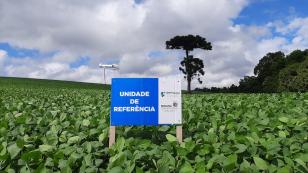 IDR-Paraná inicia os trabalhos da rede Alerta Ferrugem da Soja