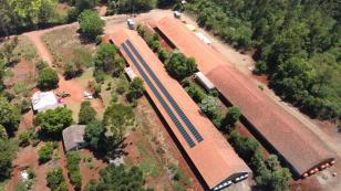 IDR-Paraná viabiliza 4.539 projetos de energia renovável no estado