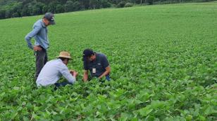 Giro Técnico da Soja reúne mais de 1000 produtores no Estado