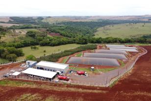 Com foco no hidrogênio verde, Paraná elabora nova política pública para biogás e biometano