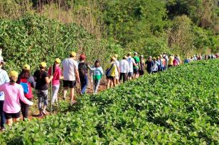 Turismo no campo: 56 mil pessoas participaram das Caminhadas na Natureza em 2022