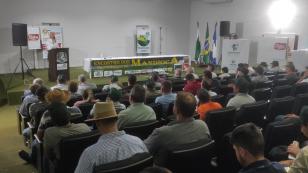 Encontro de produtores de mandioca discute o mercado e a adequação de cultivares de mandioca